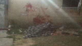 Ajudante de pedreiro é morto com golpes de gargalo de garrafa e terçado, em Manaus