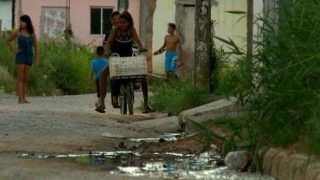 Epidemia de zika reforçou combate ao Aedes, mas saneamento ainda é problema