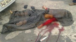 Vigilante é morto a facadas na Zona Norte de Manaus