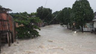Chuva causa inundações, desabamentos e quedas de árvores em várias zonas de Manaus