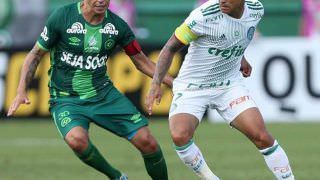 Em primeiro jogo após tragédia, Chapecoense empata com Palmeiras