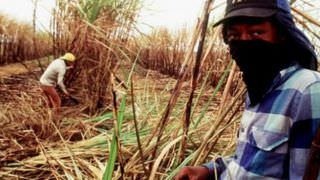 Combate ao trabalho escravo no Ceará esbarra em falta de auditores fiscais
