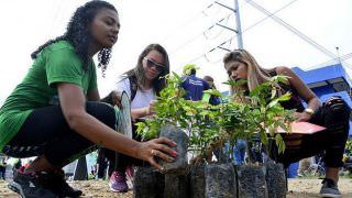 Distribuição de mudas desperta o interesse dos moradores da zona Leste de Manaus