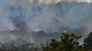 Desmatamentos, queimadas e emissões de gases no Cerrado serão monitorados