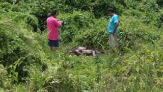 Homem é encontrado morto em área alagada na Zona Norte de Manaus