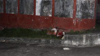 Homem morre a tiros e outro fica ferido por grupo encapuzado, na Zona Sul de Manaus