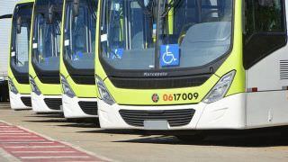 Frota de ônibus será reforçada com novos veículos padronizados, em Manaus