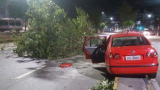 Colisão entre carros derruba árvore e deixa duas pessoas feridas em Manaus