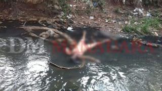 Em Manaus, mulher é achada morta em igarapé, nua e com recado de facção criminosa