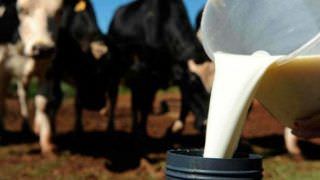 Brasil suspende importação de leite do Uruguai