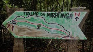Governo do Estado cria trilha inédita na Amazônia
