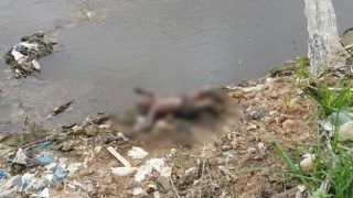 Corpo de homem com facadas é achado às margens do rio Negro, na Zona Oeste de Manaus