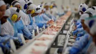 JBS retoma produção de carne bovina em sete frigoríficos em Mato Grosso do Sul