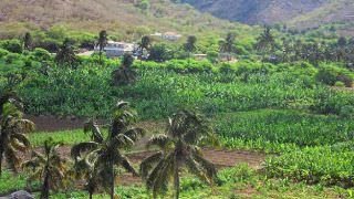 Brasil vai ajudar a agricultura familiar de Cabo Verde