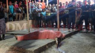 ‘Boi’ é executado com quatro tiros em lanchonete na Zona Norte de Manaus