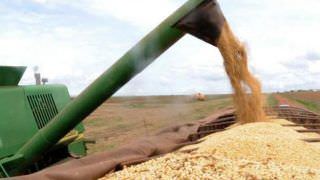 Governo considera 2017 um ano excepcional na produção agrícola brasileira