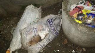 Corpo de mulher é encontrado esquartejado dentro de sacos, na Zona Centro-Oeste de Manaus