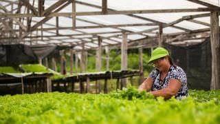 Agricultores projetam crescimento socioeconômico com a mecanização e melhorias no escoamento agrícola