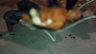 Homem é morto a facadas, colocado em carrinho de mão e jogado em rua de Manaus