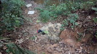 Sapateiro sequestrado depois da Virada do Ano é achado morto, na Zona Sul de Manaus