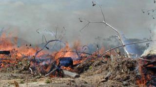 Pesquisadores comprovam que fumaça das queimadas da Amazônia pode causar câncer