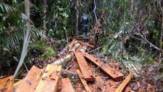 Policiamento Ambiental detecta infrações durante fiscalização em Presidente Figueiredo