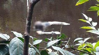 Homem é achado dentro de igarapé amarrado em pedra, no município de Itapiranga