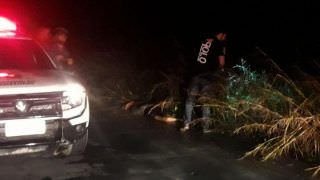 Com marcas de tiros, dois homens são encontrados mortos no Distrito Industrial 2