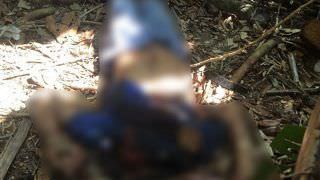 Homem é encontrado decapitado em área de mata, na Zona Centro-Sul de Manaus