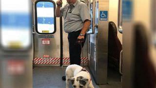 Condutor interrompe viagem de trem para resgatar cachorro nos trilhos