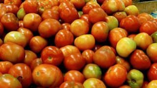 Preço do tomate avança 72,25% no IPC-S de outubro e alta deve prosseguir, diz FGV
