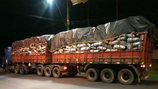 Operação "Águia - Boina Verde" apreende mil sacas de carvão vegetal em situação irregular
