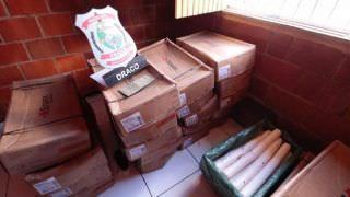 Policiais encontram 700 kg de explosivos em apartamento de Fortaleza