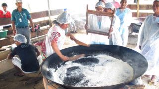 Idam incentiva produção de povos indígenas