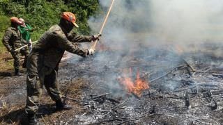 Canutama forma brigadistas florestais para apoiar combate às queimadas