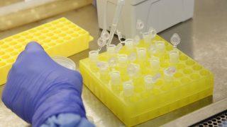 Registrada na França a primeira morte na Europa pelo novo coronavírus