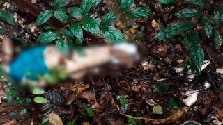 Manaus – O camelô Francisco Elenilson da Silva Enes, 34, foi encontrado na tarde de sábado (14), por volta das 14h, no ramal do UDV, sub ramal do Matoso, que dá acesso à estrada do Brasileirinho, no bairro Jorge Teixeira, na Zona Leste de Manaus.