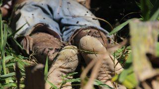 Ao regar plantas, idosa encontra homem morto com tiros e facada