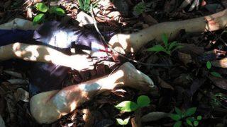 ‘Loirinho’ é morto com tiro na cabeça em ramal na Zona Leste de Manaus