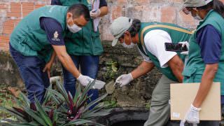 Prefeitura executa ações do diagnóstico de infestação do Aedes aegypti