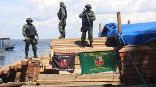 Batalhão Ambiental apreende 80 metros cúbicos de madeira ilegal