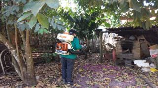 Ações de inspeção contra dengue e malária são realizadas em Humaitá