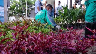 Prefeitura encerra ‘Junho Verde’ com anúncio de novo parque municipal