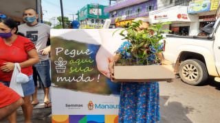 Prefeitura realiza doação de mudas de plantas no bairro Alvorada