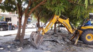 Prefeitura combate ocupação irregular em área verde do Águas Claras