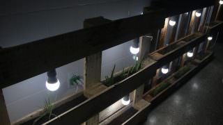 Prefeitura realiza ‘Horta com Luz Artificial’ em Cmei da Zona Norte
