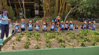 Parque do Mindu recebe mais de 200 estudantes no Dia da Árvore