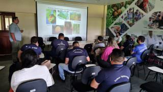 Adaf promove treinamento para identificação de pragas em cultivo de citros