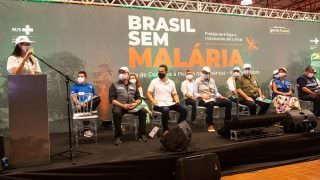 Casos de malária em Manaus têm redução de 15,3%