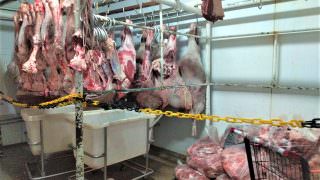 Visa Manaus apreende 1,6 tonelada de carne bovina com validade vencida